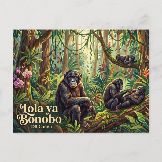 Lola ya Bonobo Sanctuary Briefkaart (Voorkant)