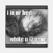 LOLCat 1 Magneet (Voorkant)