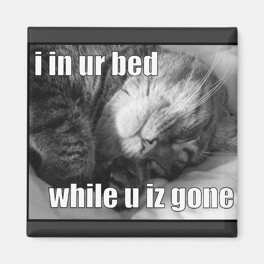 LOLCat 1 Magneet (Voorkant)