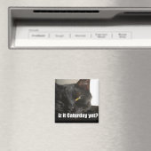 LOLCat 2 Magneet (Insitu (Vaatwasser))