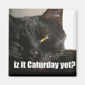 LOLCat 2 Magneet (Voorkant)