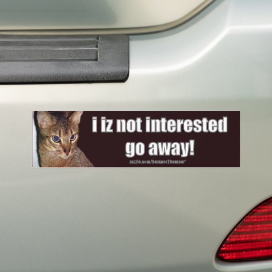 LOLCat 3 Bumpersticker (Op auto)