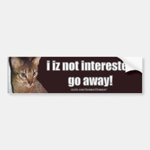 LOLCat 3 Bumpersticker