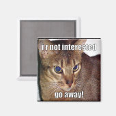 LOLCat 3 Magneet (Voorkant / Achterkant)