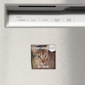LOLCat 3 Magneet (Insitu (Vaatwasser))