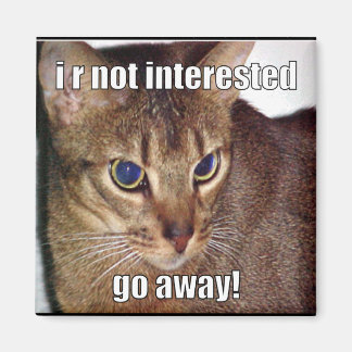 LOLCat 3 Magneet