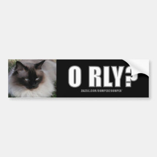 LOLCat 4 bumpersticker