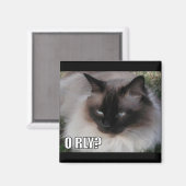 LOLCat 4 Magneet (Voorkant / Achterkant)