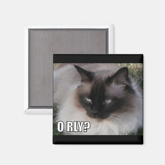 LOLCat 4 Magneet (Voorkant / Achterkant)