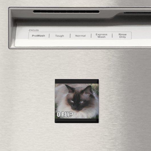 LOLCat 4 Magneet (Insitu (Vaatwasser))