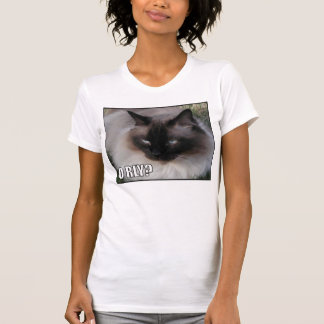 LOLCat 4 T-shirt