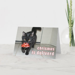 lolcat Christmas Card Feestdagen Kaart