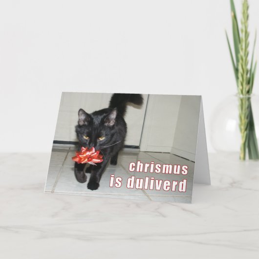 lolcat Christmas Card Feestdagen Kaart (Voorkant)