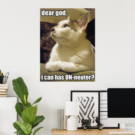 LOLcat - lieve god Poster (Thuiskantoor)