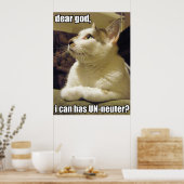 LOLcat - lieve god Poster (Keuken)
