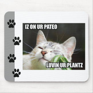LOLCat Sassy Mousepad Muismat