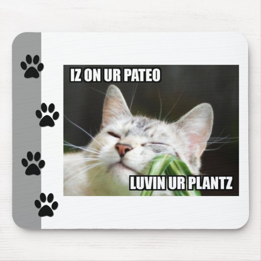 LOLCat Sassy Mousepad Muismat (Voorkant)