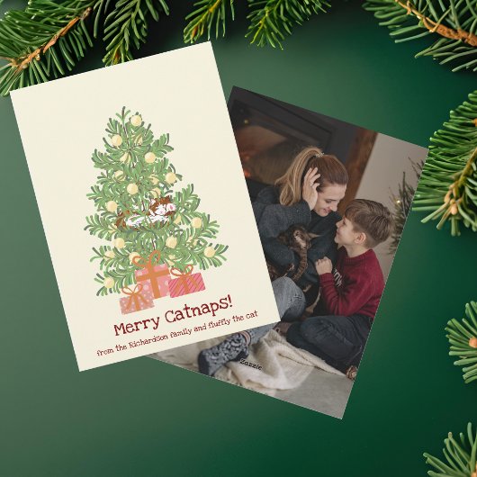 Lolletjes van een blije kat! Kat op Kerstboom Feestdagenkaart