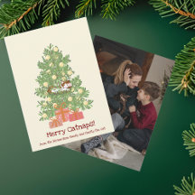 Lolletjes vrolijke katten slaapjes! Kat op de Kers