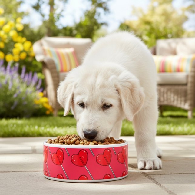 Lollipop Bowl Voerbakje (Creator heeft geüpload)