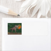 LOLLIPOP T-REX ETIKET (Insitu)