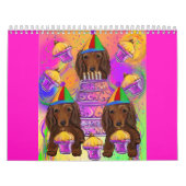 LOLLIPUP 2025 KALENDER (Hoes)