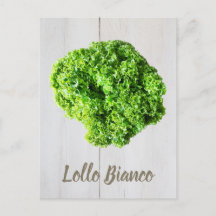 Lollo Bianco Salad sla bladeren van Vegans