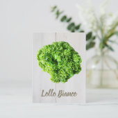 Lollo Bianco Salad sla bladeren van Vegans Briefkaart (Staand voorkant)
