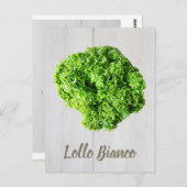 Lollo Bianco Salad sla bladeren van Vegans Briefkaart (Voorkant / Achterkant)
