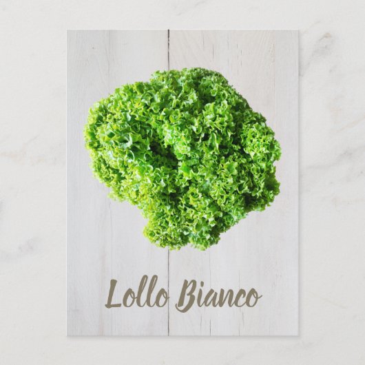 Lollo Bianco Salad sla bladeren van Vegans Briefkaart (Voorkant)