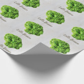 Lollo Bianco Salad sla bladeren van Vegans Cadeaupapier (Hoek)