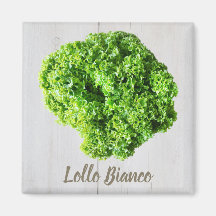 Lollo Bianco Salad sla bladeren van Vegans