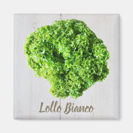 Lollo Bianco Salad sla bladeren van Vegans Magneet