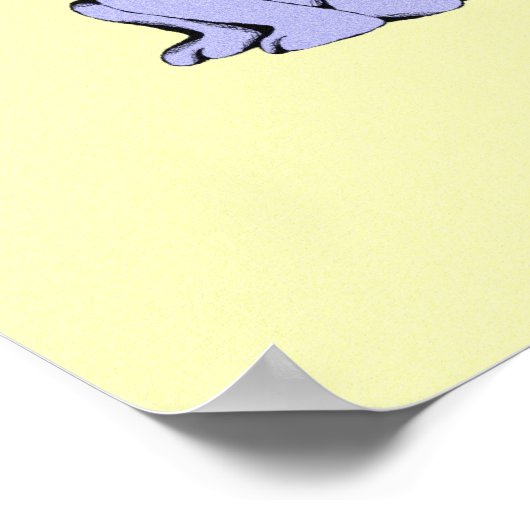 Lolly Cat Laughing Poster (Hoek)