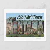 Lolo Nat'l Forest, Montana Briefkaart (Voorkant)