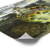 LOLschildpad - roodmah belleh Poster (Hoek)