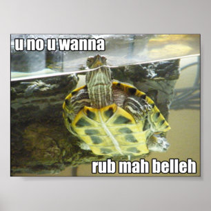LOLschildpad - roodmah belleh Poster