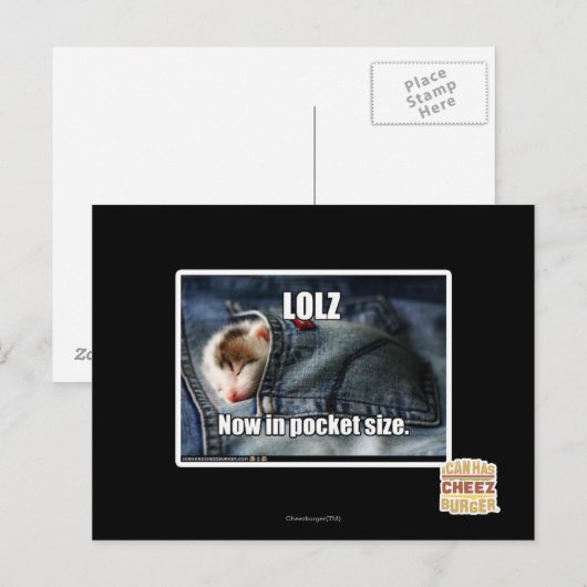 LOLZ nu in zakformaat Briefkaart (Voorkant / Achterkant)