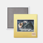LOLZ nu in zakformaat Magneet (Voorkant / Achterkant)