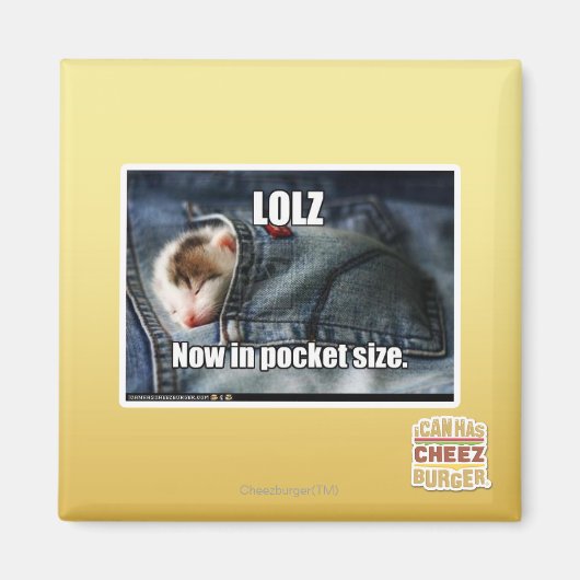 LOLZ nu in zakformaat Magneet (Voorkant)