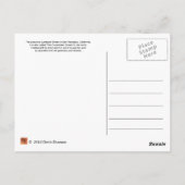 Lombardi Street in San Fransico Briefkaart (Achterkant)