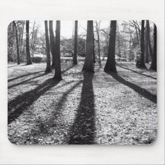 Loming Forest Muismat