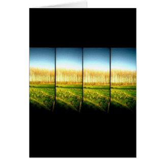 lomo - landschap 2
