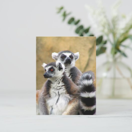 lompliefde briefkaart (Staand voorkant)