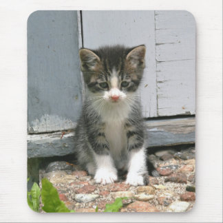 LonAntential Sad Gershwin Kitty Cat Kitten Mousepa Muismat