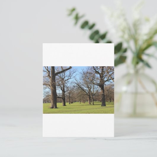 Londen Briefkaart (Staand voorkant)