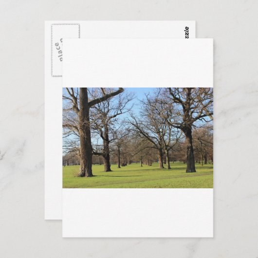 Londen Briefkaart (Voorkant / Achterkant)