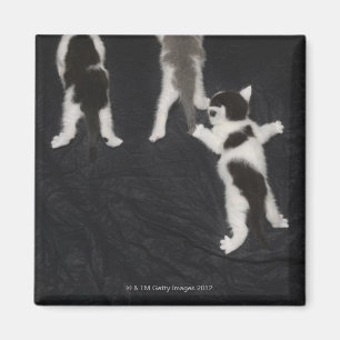 Londen, Engeland, UK 2 Magneet