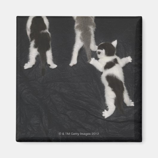 Londen, Engeland, UK 2 Magneet (Voorkant)