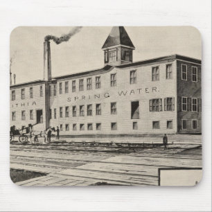 Londenaren Lithia Spring Water Co Muismat